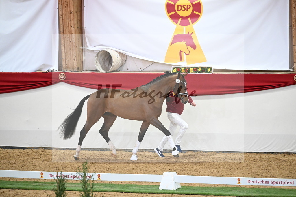 Kat.-Nr. 43 v. Benicio_Fleischmann_2250019 | hf-fotografie - Realisiert mit Pictrs.com