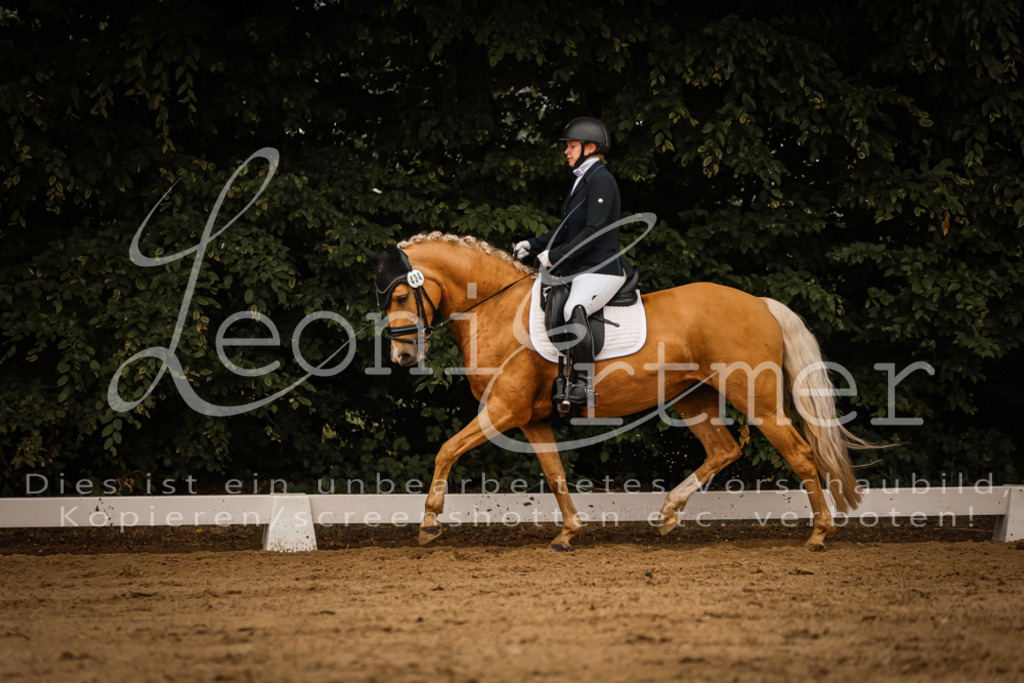 DoDrA00140 | Leoni Ertmer Photography - Realisiert mit Pictrs.com