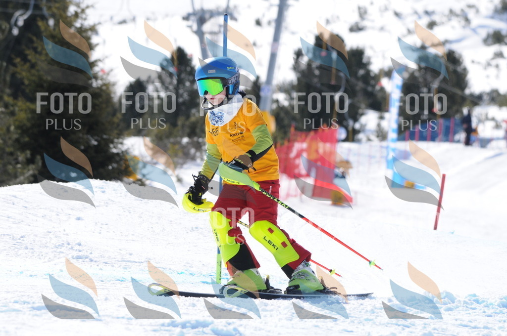 C8952 | holidayphoto