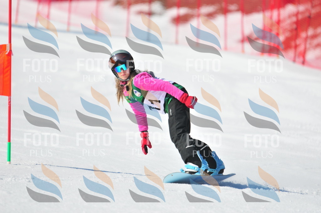 C2418 | holidayphoto