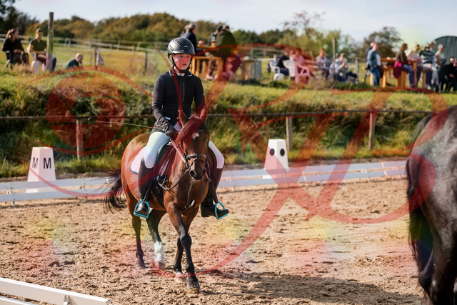 2026_10_03_Siefer-Hof_120832_Z63_38096065 | Professionelle Reitsport-, Turnier- und Eventfotografie von Robert Broda. Galerien mit ausgewählten und bearbeiteten Bildern direkt online ansehen und bestellen.