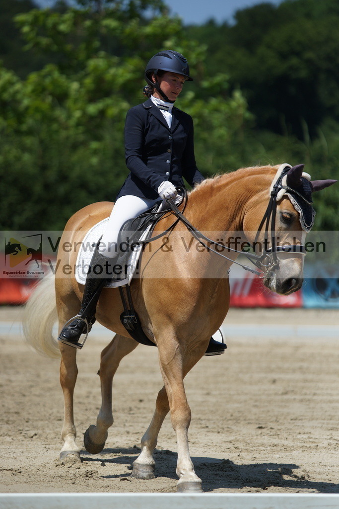 DSC03537 | equestrian-live-com