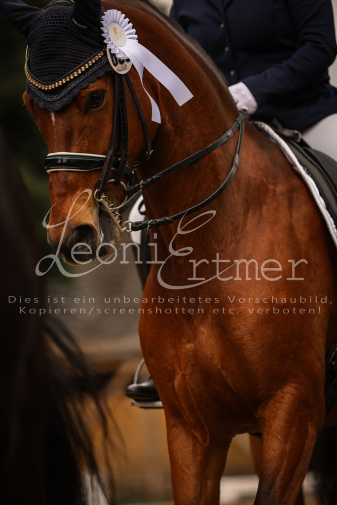 18.SoDrLK00460 | Leoni Ertmer Photography - Realisiert mit Pictrs.com