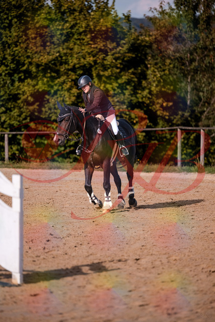 2026_10_03_Siefer-Hof_154400_Z81_62250291 | Professionelle Reitsport-, Turnier- und Eventfotografie von Robert Broda. Galerien mit ausgewählten und bearbeiteten Bildern direkt online ansehen und bestellen.