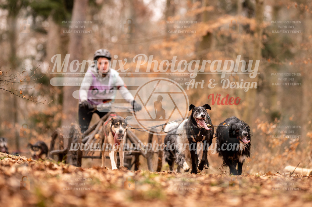 AKM_ST_2023_SAM_DR4-36 | PayLife