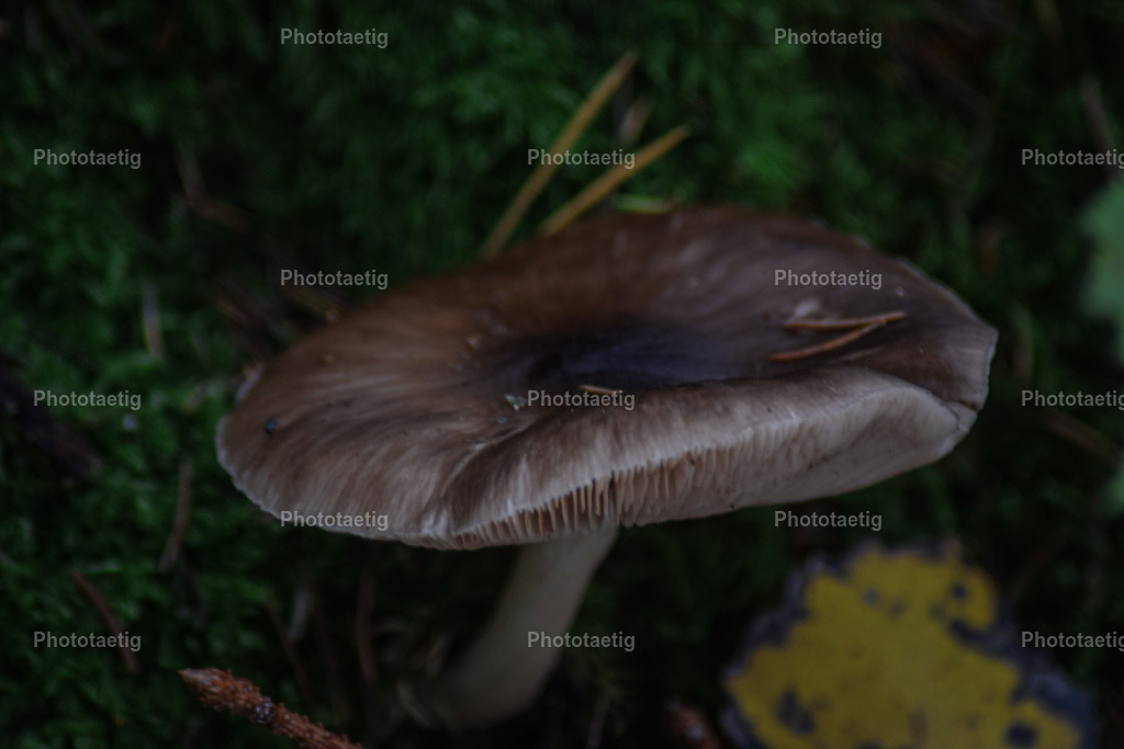 IMG_4229 | phototaetig