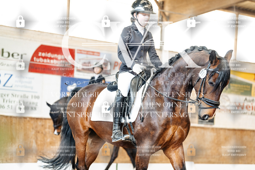 CK909848 | Turnierfotografie Pferdefotografie Trier Rheinland-Pfalz Pferdesport Reitsport Tierfotografie Sportfotografie Pferdevideo Pferdevideografie Equestrianvideography equestrianphotography  - Realisiert mit Pictrs.com