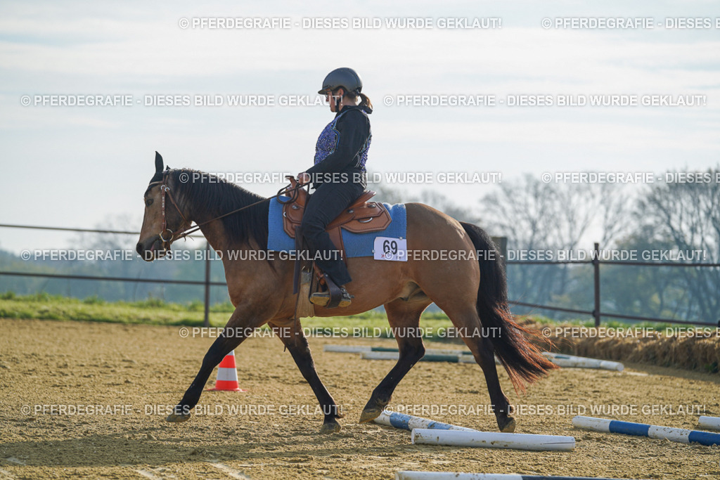 DSC00649 | Pferdegrafie