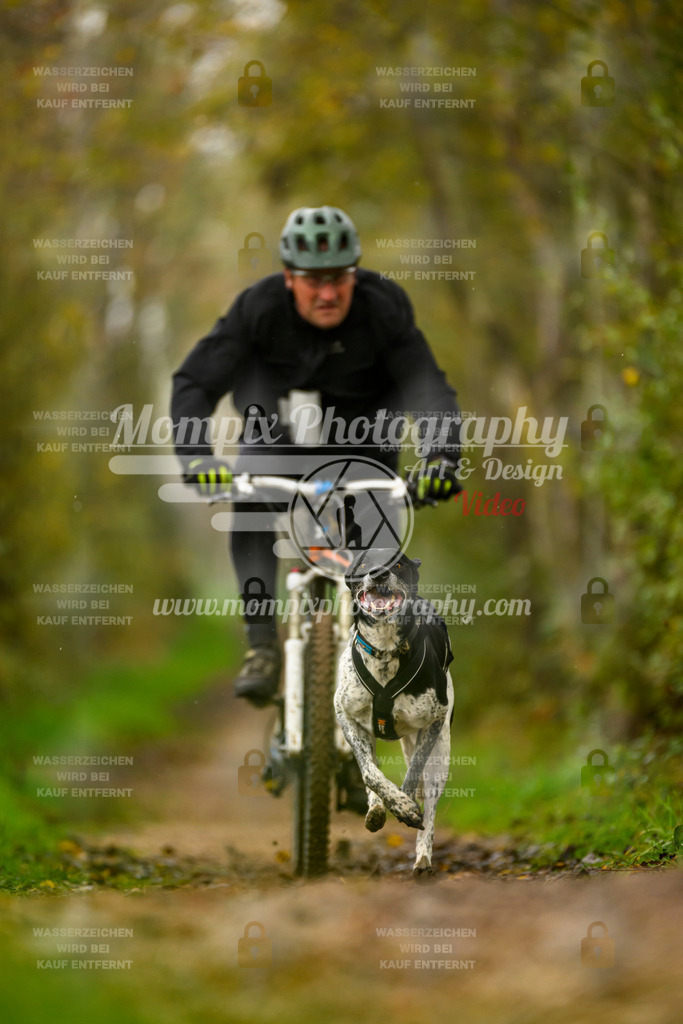 MompixPhotography_20TSB_E6_Bike-138 | PayLife