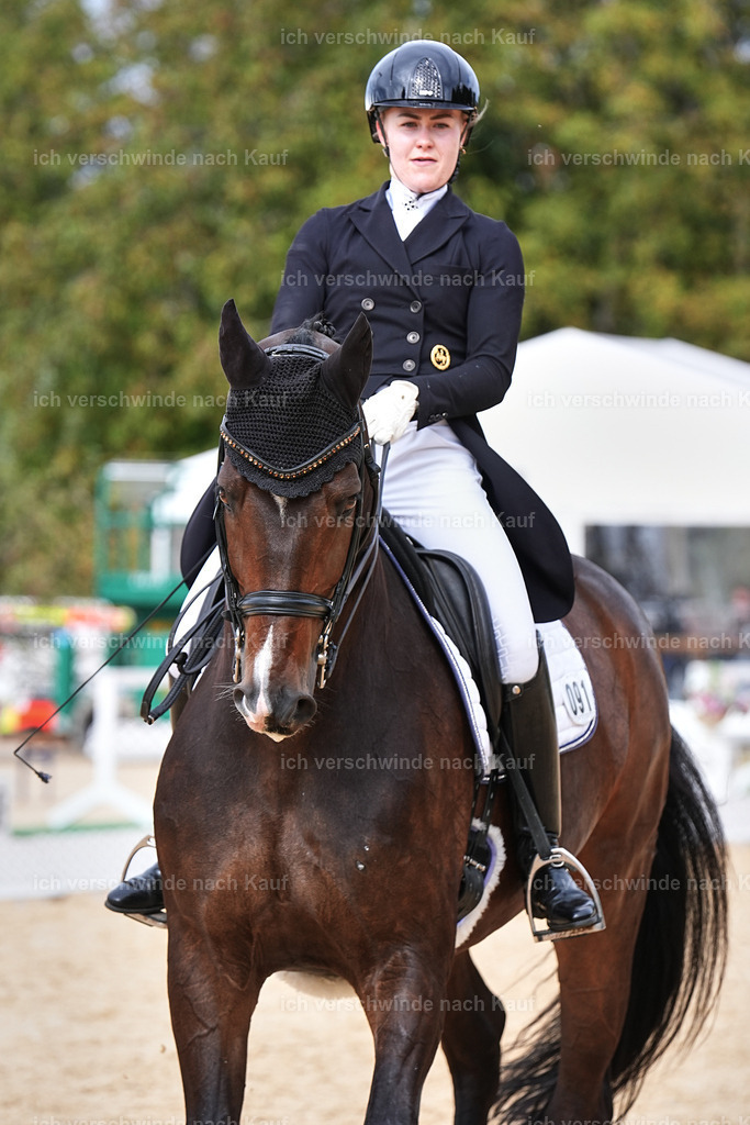 11-091-Dressur S___-Marixx-1625 | working equitationturnier fotograf videograf stoibphotography marixx film working equitation deutschland reitsport turnierfotografie eventfotografie equestrian events