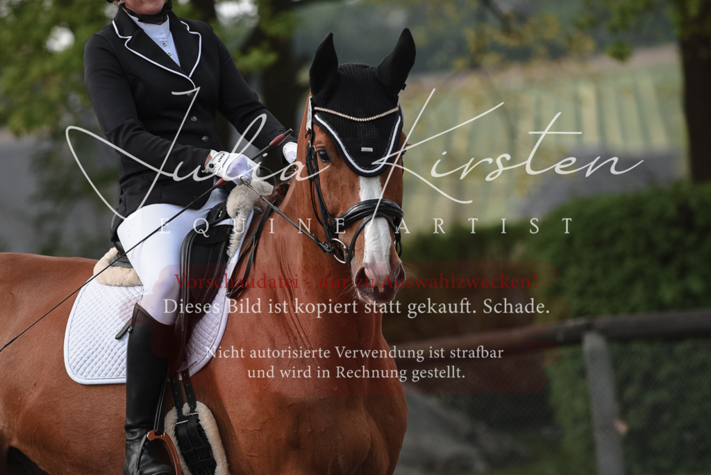 20230513_JK-Röhrsdorf-14-529 | Pferde- und Turnierfotografie in Westsachsen. Pferdeportraits, Auftragszeichnungen und intuitive Kunst.