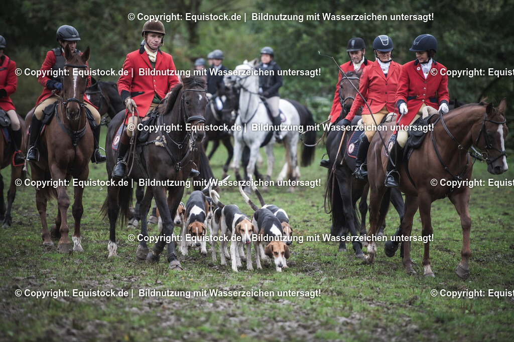 20241013_Jagd-Marbach_0161 | Foto: Thomas Hartig