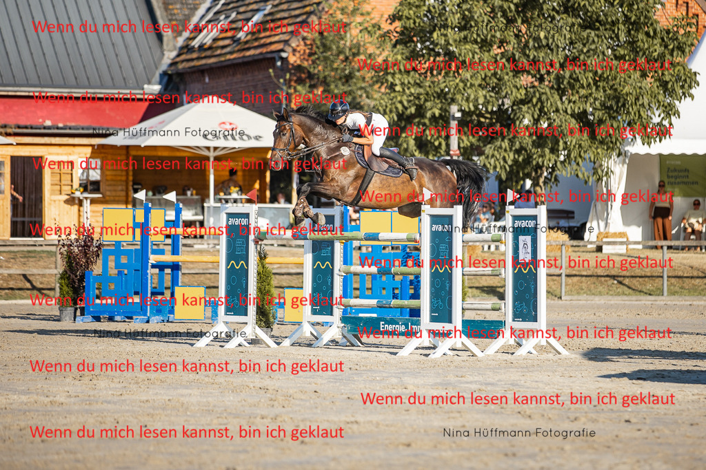 BK1A8849 | Turnierbilder Turnierfotos Nina Hüffmann Turnierfotografie Pferdefotografie Tierzeichnung Haustierzeichnung Pferdezeichnung Hundezeichnung Videograf  - Realisiert mit Pictrs.com