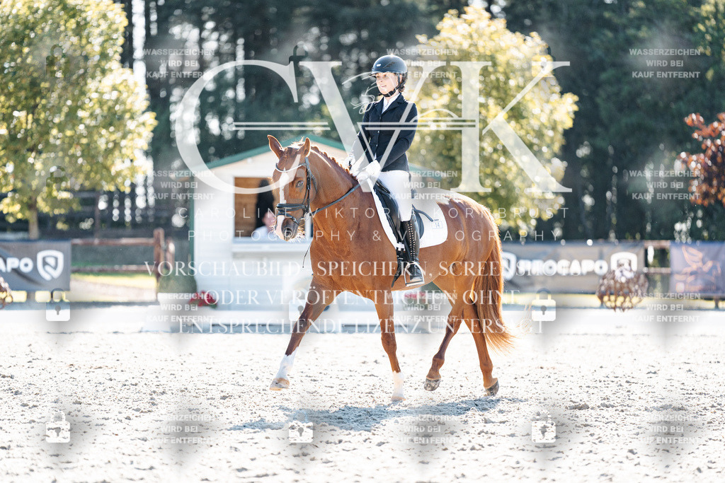 CK906050 | Turnierfotografie Pferdefotografie Trier Rheinland-Pfalz Pferdesport Reitsport Tierfotografie Sportfotografie Pferdevideo Pferdevideografie Equestrianvideography equestrianphotography  - Realisiert mit Pictrs.com