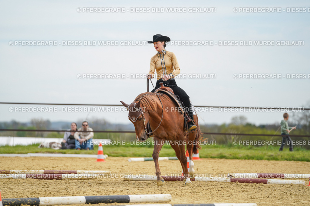 DSC03314 | Pferdegrafie