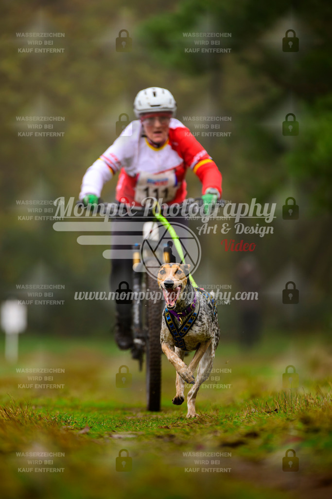 MompixPhotography_Bischwiller2025_Bike-101 | mompixphotography