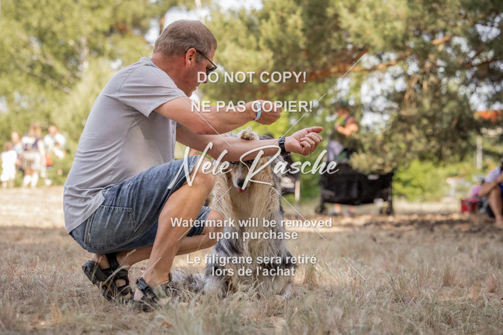 nelerasche_soDD2_110 | nelerasche