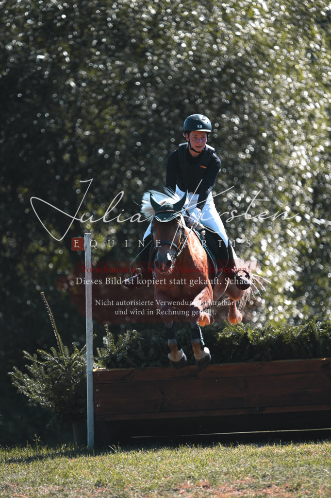 DSC_8081-2 | Pferde- und Turnierfotografie in Westsachsen. Pferdeportraits, Auftragszeichnungen und intuitive Kunst.