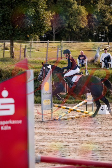 2026_10_03_Siefer-Hof_144908_Z81_27134790 | Professionelle Reitsport-, Turnier- und Eventfotografie von Robert Broda. Galerien mit ausgewählten und bearbeiteten Bildern direkt online ansehen und bestellen.