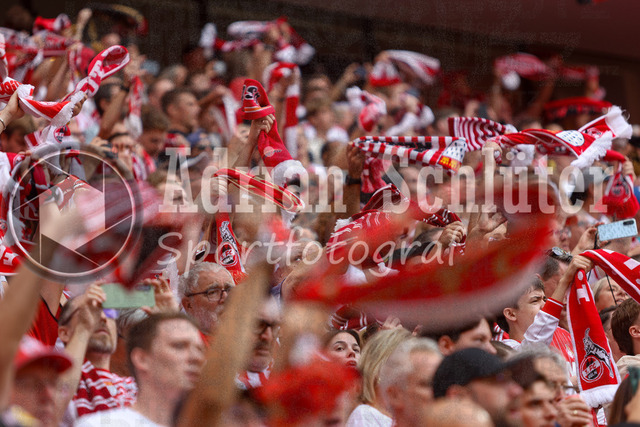29.08.2026, GER, Fussball, Herren, Bundesliga , 1. Bundesliga, Saison 2026/2027, 1. FC Köln - TSG 1899 Hoffenheim | Fan von 1. FC Köln