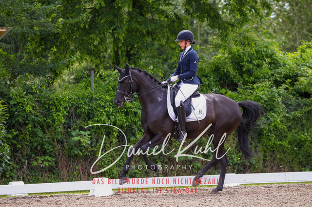 DKP41067 | Turnierfotos kaufen im Webshop von Daniel Kuhl Photography – entdecke professionelle Reitsportfotos aus Turnieren & Events. Hochwertige Turnierbilder online bestellen & sichern. Jetzt Fotos von Reitsportturnieren kaufen!