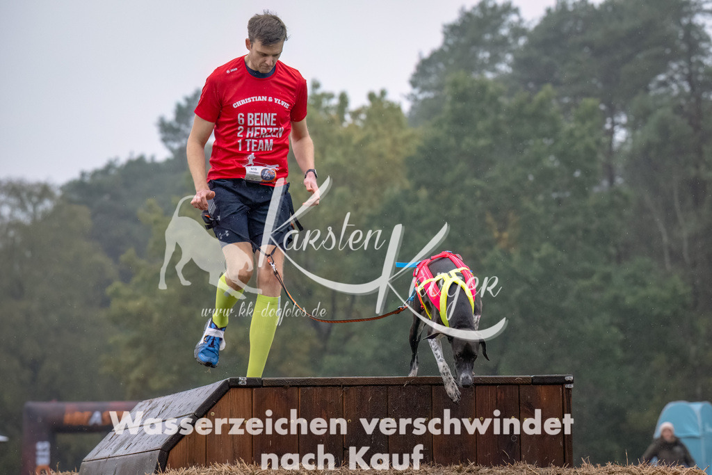 1246--5 | kk-dogfotos