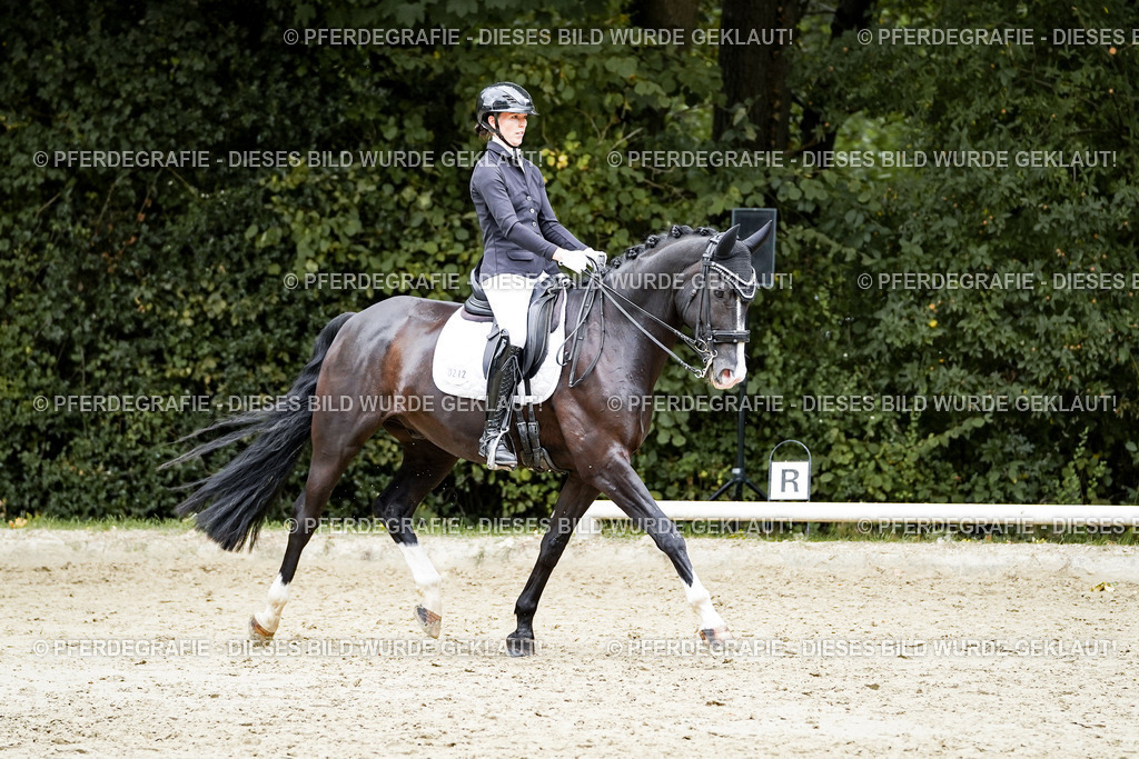 DSC06038 | Pferdegrafie