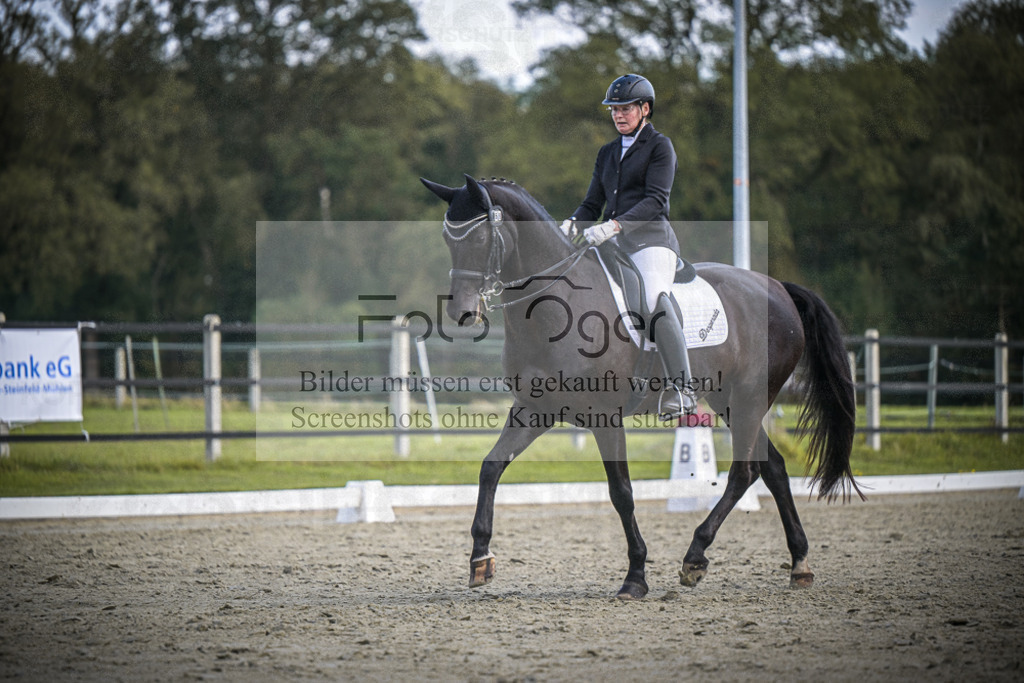DOS_0706 | Entdecke hochwertige Reitturnierfotos von Foto Oger. Professionell, emotional und authentisch – jetzt Lieblingsmomente im Shop bestellen.Deutschlandweite Turnierfotografie. - Realisiert mit Pictrs.com