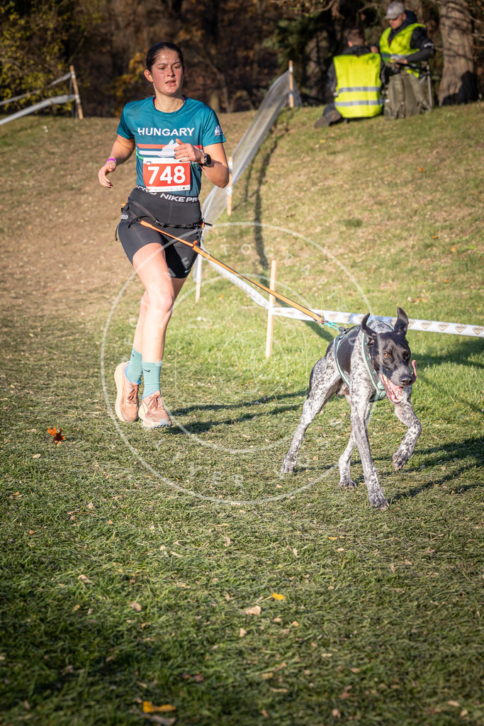 CaniXpix_0L8A9882 | Hundefotografie, Tierfotograf, Pfotenfotografie, Fotoshooting Hund, Hunde Portrait, Hundesport, Hundeportraits, Heideshooting, Hunde, Sportfotograf, Hundefotograf, Turnierhundsport, THS,  - Realisiert mit Pictrs.com