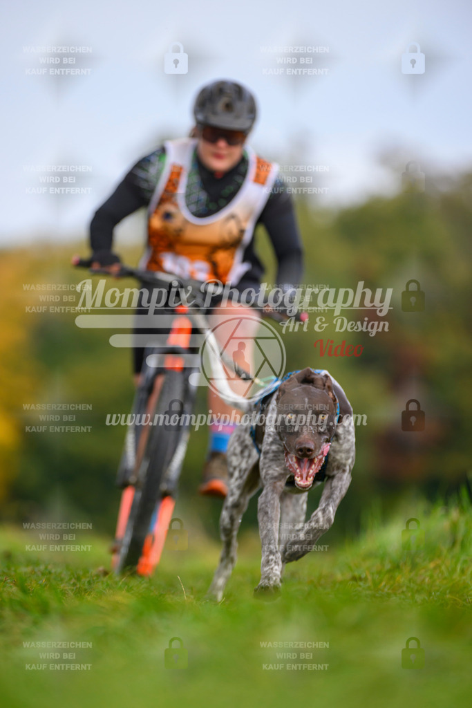 MompixPhotography_CDLBDB2025_DI_DS-55 | PayLife