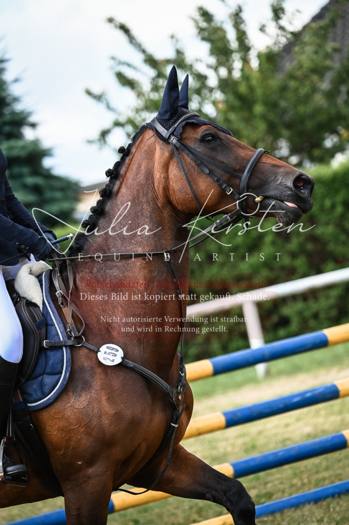 DSC_7848 | Pferde- und Turnierfotografie in Westsachsen. Pferdeportraits, Auftragszeichnungen und intuitive Kunst.
