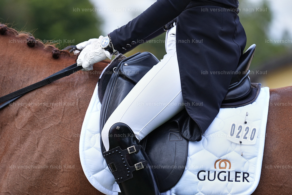 12-220-DRESSUR  S___  -Marixx-5220 | working equitationturnier fotograf videograf stoibphotography marixx film working equitation deutschland reitsport turnierfotografie eventfotografie equestrian events