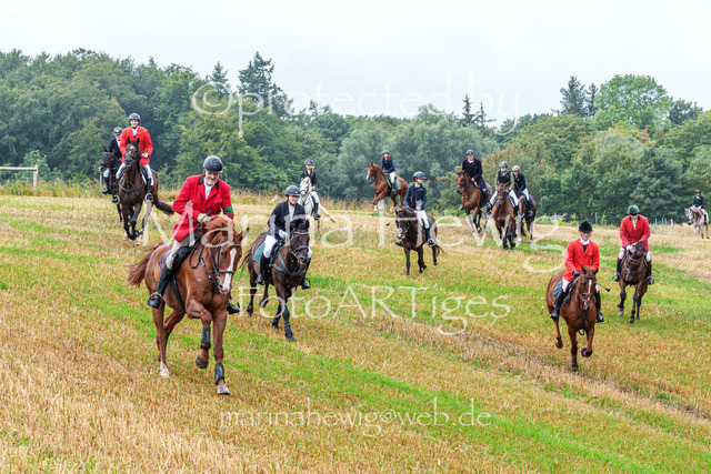 Jagd Kletkamp 26-02878_MarinaHewig | Fotografie, FotoArt, PferdesportArt, Pferdesportfotografie, Landschaftsfotografie, Reisefotografie, Reise, Pferde - Realisiert mit Pictrs.com