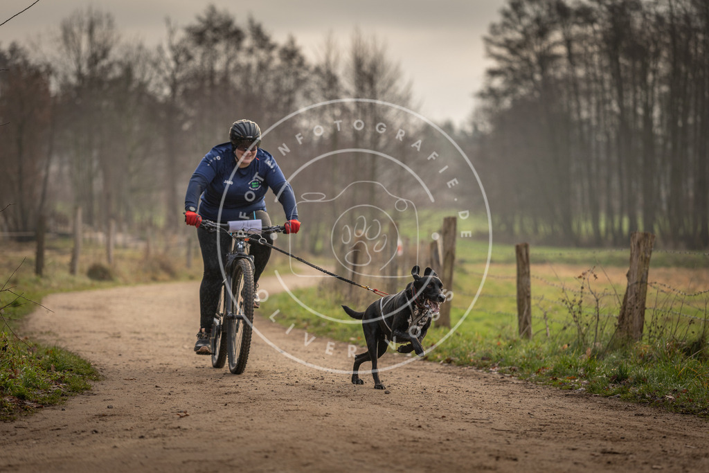 Pfotenfotografie_DV3A2027 | Hundefotografie, Tierfotograf, Pfotenfotografie, Fotoshooting Hund, Hunde Portrait, Hundesport, Hundeportraits, Heideshooting, Hunde, Sportfotograf, Hundefotograf, Turnierhundsport, THS,  - Realisiert mit Pictrs.com