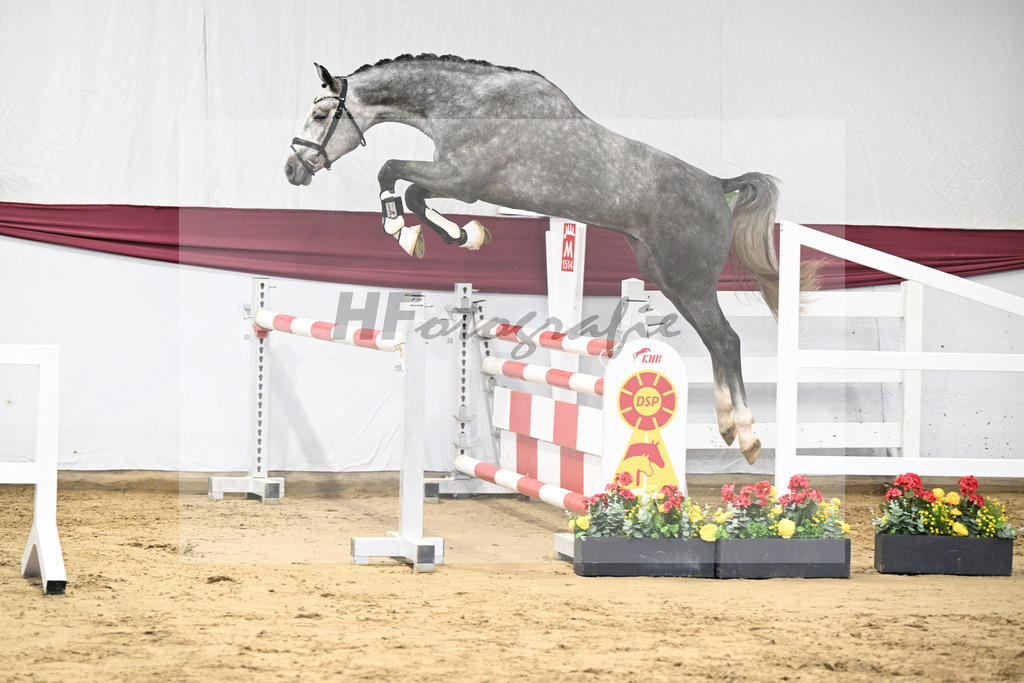 Kat-Nr. 12 I_m Special de Muze x Colman_Michaela Aeschbacher _47250187 | hf-fotografie - Realisiert mit Pictrs.com