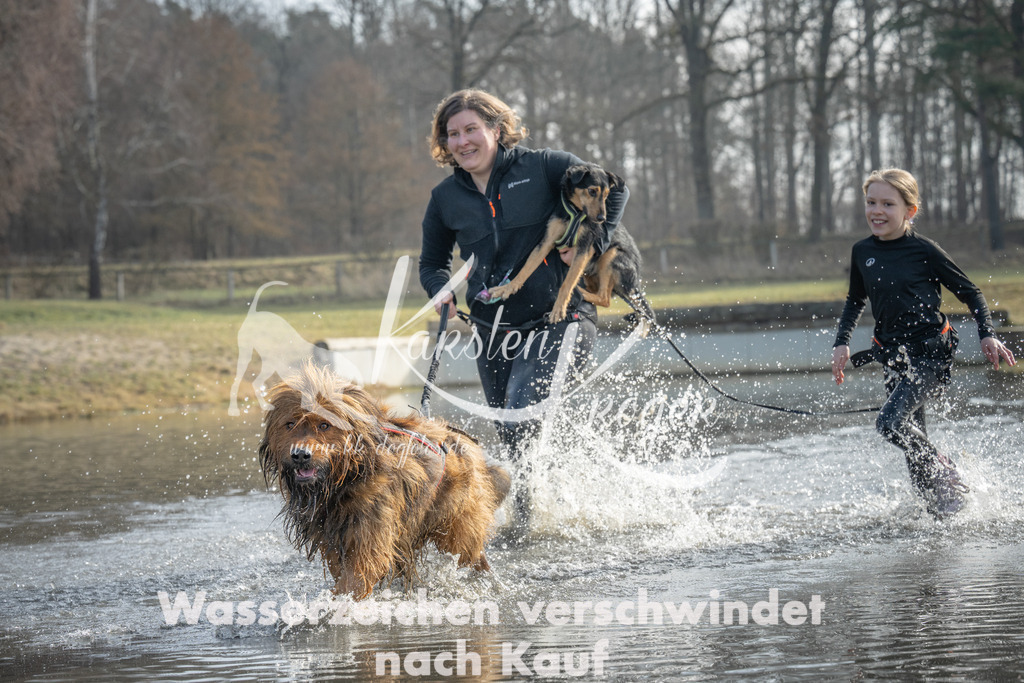 1052_ZZ90315 | kk-dogfotos