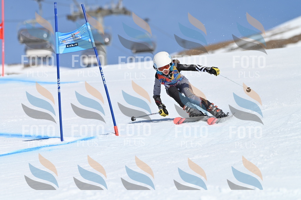 BGV_9101 | holidayphoto