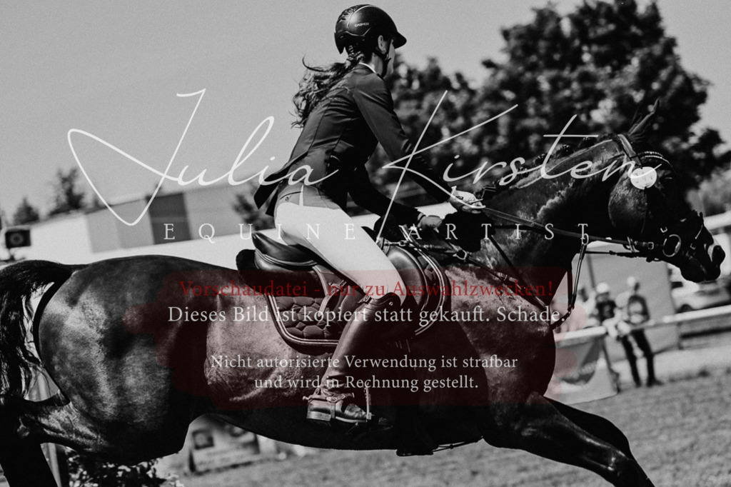 DSC_0445 | Pferde- und Turnierfotografie in Westsachsen. Pferdeportraits, Auftragszeichnungen und intuitive Kunst.