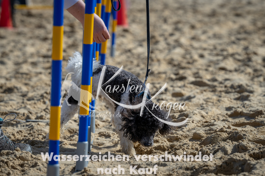 1328_ZZ90224 | kk-dogfotos