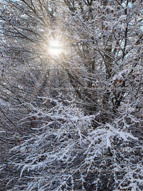 phototitusgraphy Winterimpressionen-Edition 001 | Fotokunstarbeit aus der INSTAGRAM-Gallerie auf titusgraphy.eu - Realisiert mit Pictrs.com