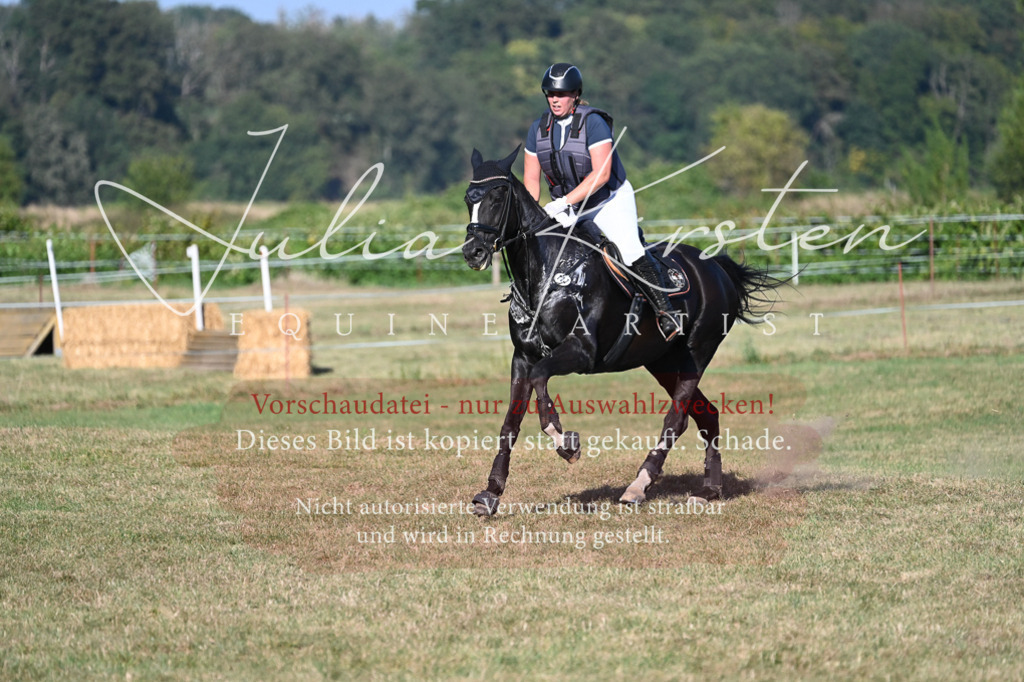 DSC_8947 | Pferde- und Turnierfotografie in Westsachsen. Pferdeportraits, Auftragszeichnungen und intuitive Kunst.