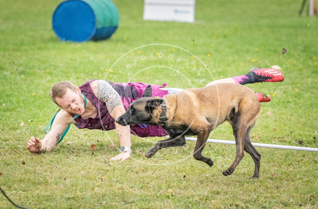 Pfotenfotografie_DV3A0824 | Hundefotografie, Tierfotograf, Pfotenfotografie, Fotoshooting Hund, Hunde Portrait, Hundesport, Hundeportraits, Heideshooting, Hunde, Sportfotograf, Hundefotograf, Turnierhundsport, THS,  - Realisiert mit Pictrs.com