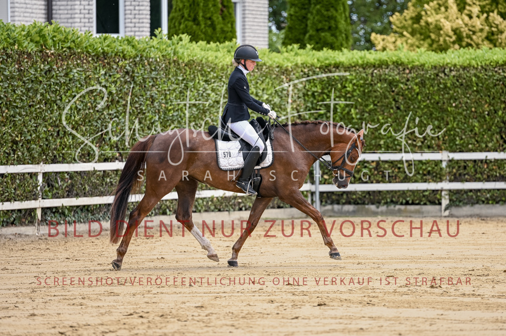 Schugtsche-Aluta25-48.Reitpferfdeprf.-107 | Schugtsche Fotografie - Realisiert mit Pictrs.com