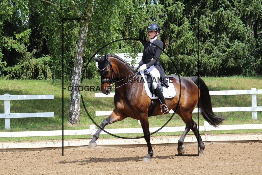 IMG_7775 | franziskalange - Realisiert mit Pictrs.com