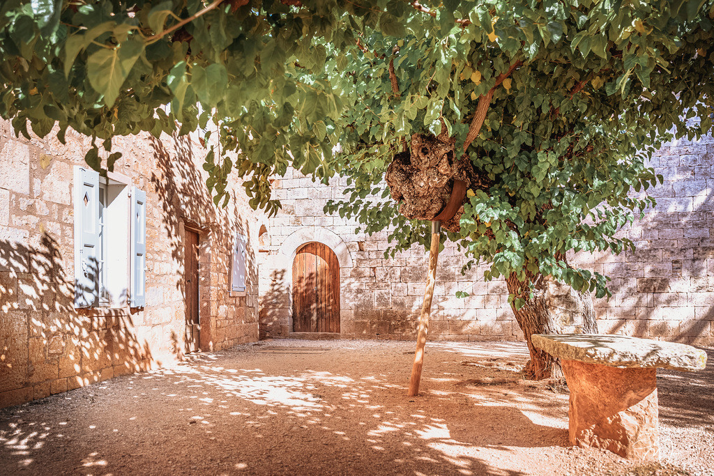 Abbeye du Thoronet | Herzlich willkommen auf meiner Seite! Ich bin Elke Wallnisch, Deine Fotografin für lichtstarke Momente. Der Name steht für alles, was mich mit der Fotografie verbindet: Das Licht und seine machtvolle Wirkung auf eine Situation oder unsere Stimmung - Realisiert mit Pictrs.com