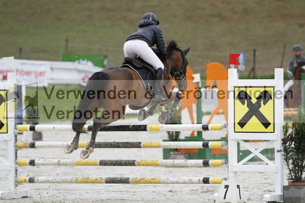 _MG_1168 | equestrian-live-com