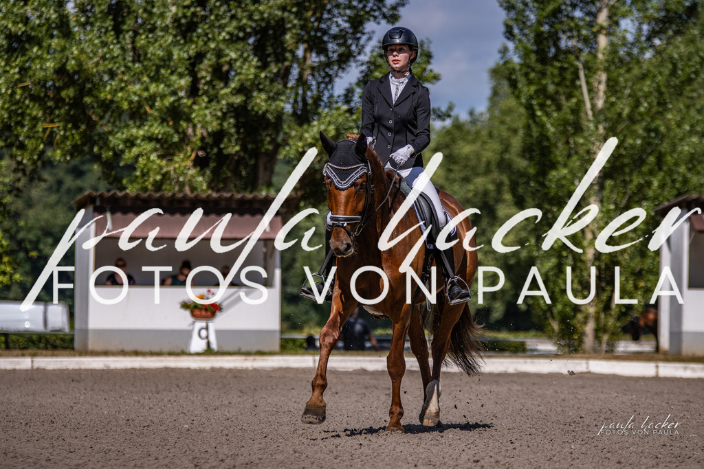IMG_8026 | Erleben Sie dynamische Sport- und emotionale Tierfotografie in Süddeutschland mit Fotos von Paula. Spezialisiert auf Pferde- und Hundefotografie sowie Sportevents. Kontaktieren Sie mich für einzigartige und ausdrucksstarke Bilder Ihrer besonderen Momente.