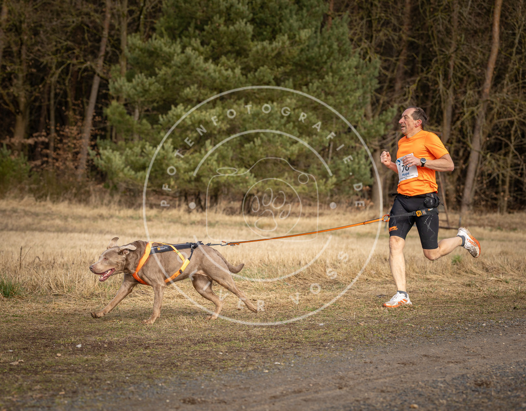 DV3A3794 | Hundefotografie, Tierfotograf, Pfotenfotografie, Fotoshooting Hund, Hunde Portrait, Hundesport, Hundeportraits, Heideshooting, Hunde, Sportfotograf, Hundefotograf, Turnierhundsport, THS,  - Realisiert mit Pictrs.com