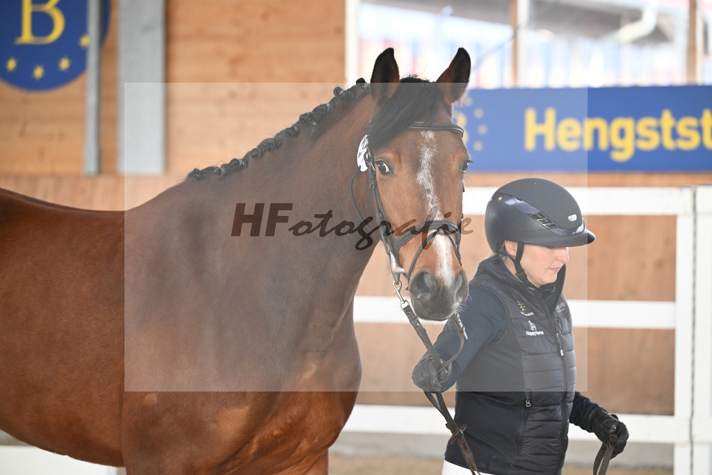 Kat-Nr. 33 Leni v. Vigaro_Peter_14260921 | hf-fotografie - Realizzato con Pictrs.com