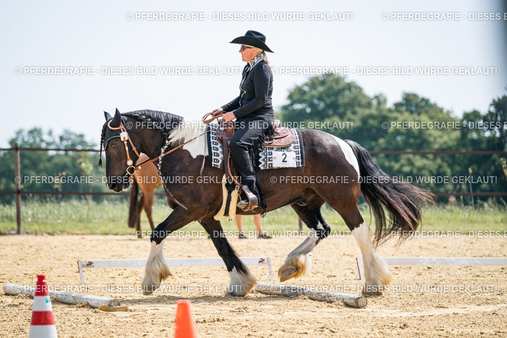 DSC00204 | Pferdegrafie